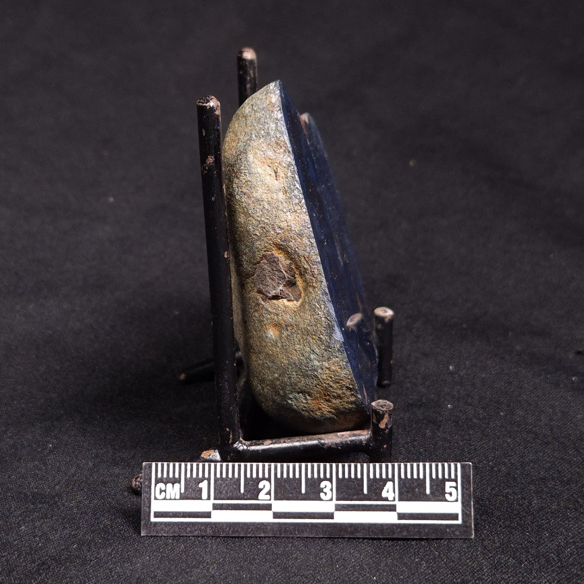VIVIANITE NODULE, Australia XVI023