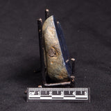 VIVIANITE NODULE, Australia XVI023