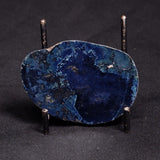 VIVIANITE NODULE, Australia XVI025