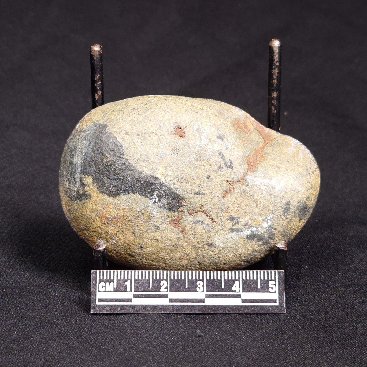 VIVIANITE NODULE, Australia XVI025