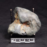 VIVIANITE NODULE, Australia XVI027