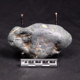 VIVIANITE NODULE, Australia XVI028