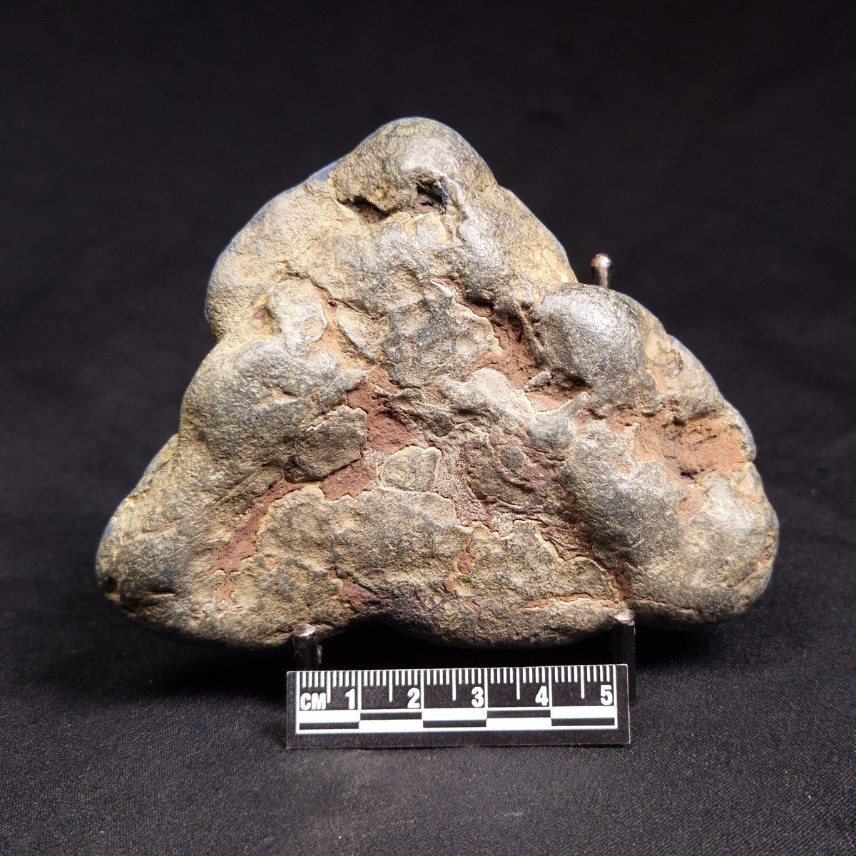 VIVIANITE NODULE, Australia XVI029
