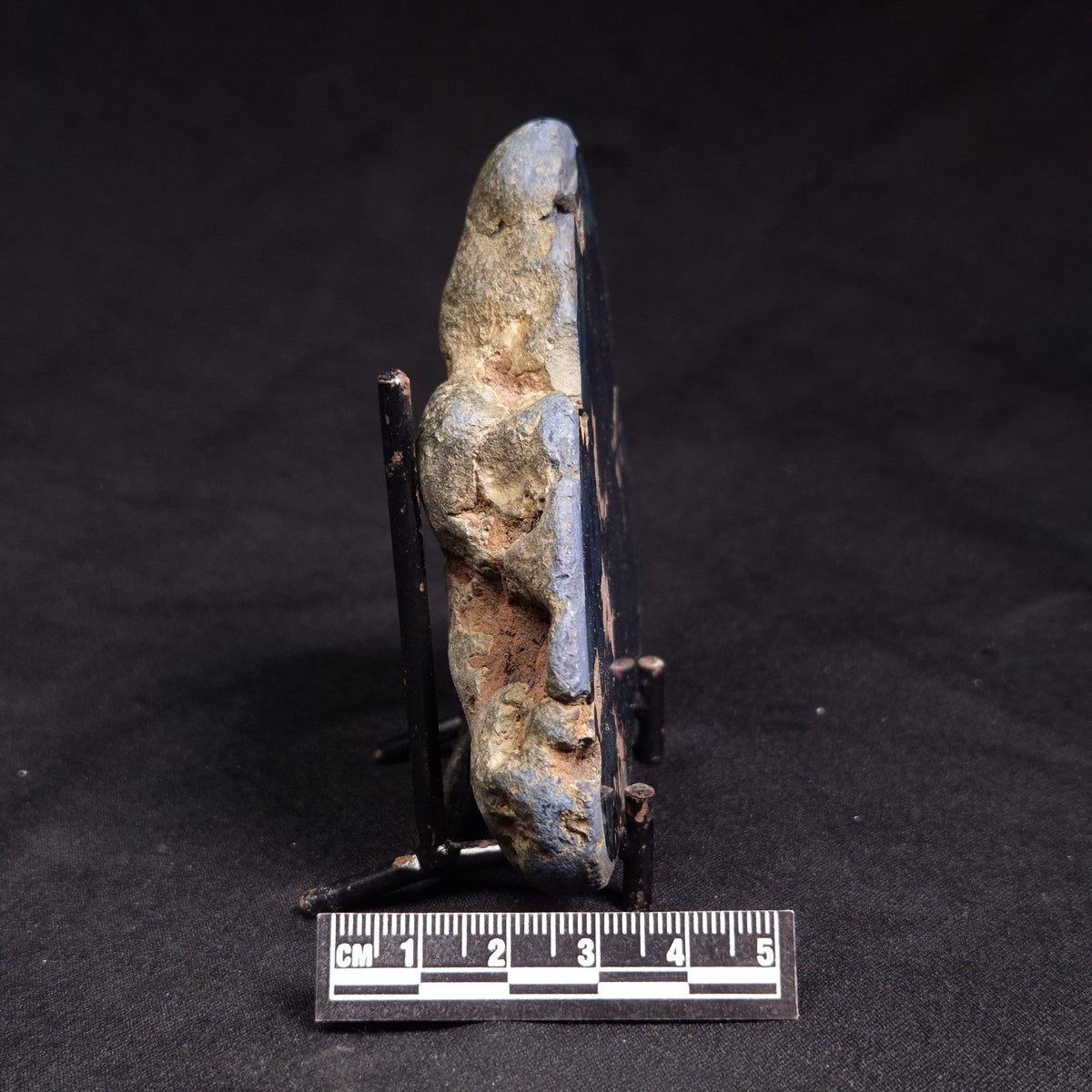 VIVIANITE NODULE, Australia XVI029
