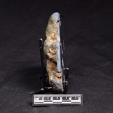 VIVIANITE NODULE, Australia XVI029