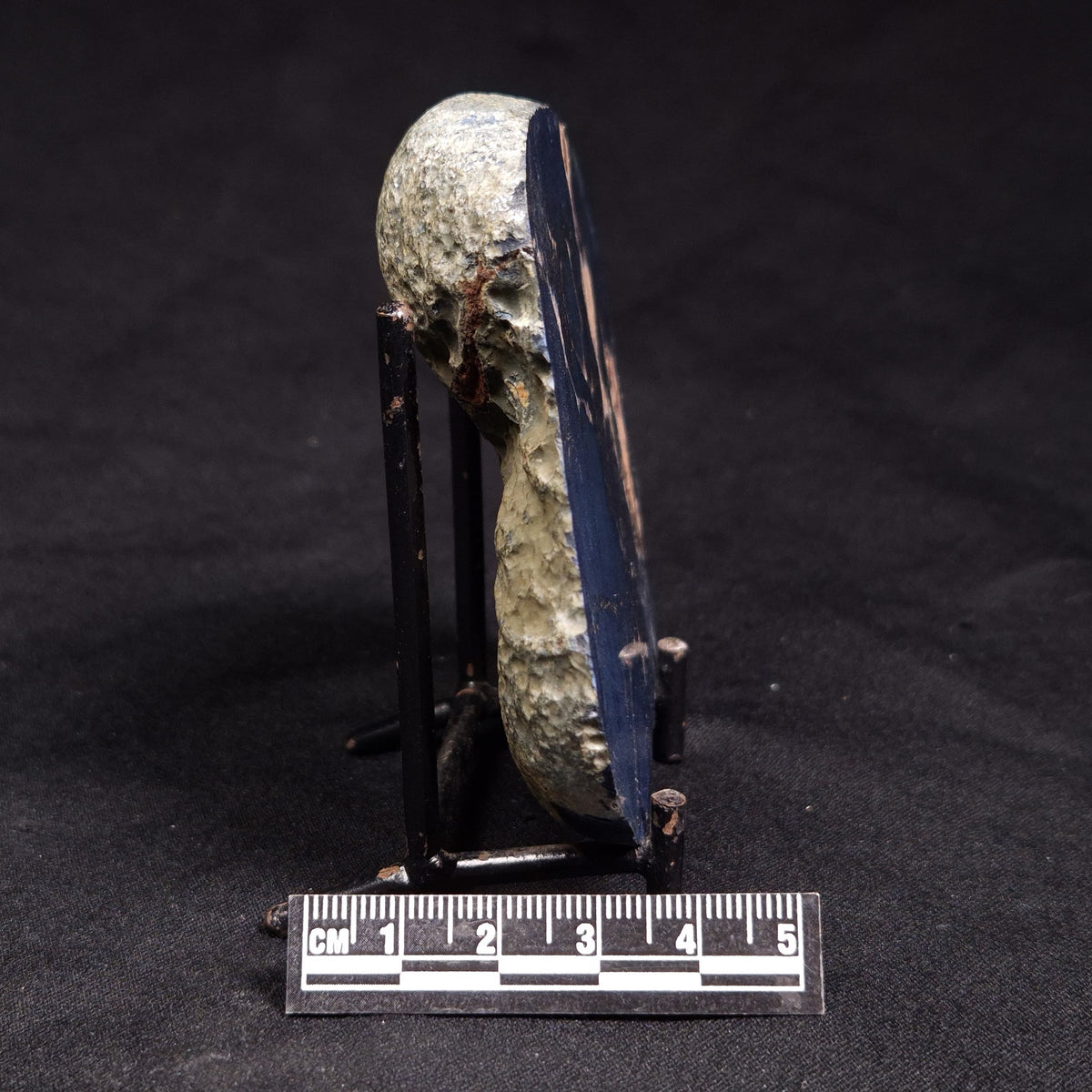VIVIANITE NODULE, Australia XVI030