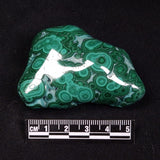 MALACHITE FREEFORM, Democratic Republic of Congo XMF005