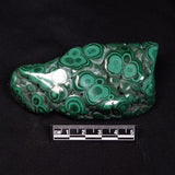 MALACHITE FREEFORM, Democratic Republic of Congo XMF009