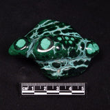 MALACHITE FREEFORM, Democratic Republic of Congo XMF016