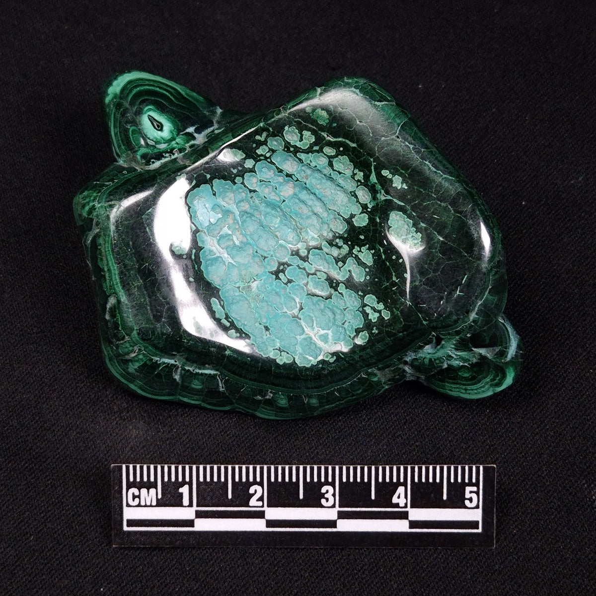MALACHITE FREEFORM, Democratic Republic of Congo XMF016