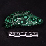 MALACHITE FREEFORM, Democratic Republic of Congo XMF017