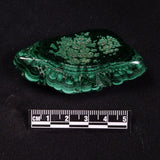 MALACHITE FREEFORM, Democratic Republic of Congo XMF017