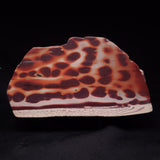 ZEBRA STONE, Australia ZZS023