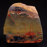 MARRA MAMBA TIGER EYE STROMATOLITE, Archean, Australia YSC167