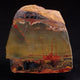 Stromatolites / Microbialites
