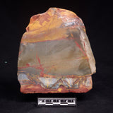 MARRA MAMBA TIGER EYE STROMATOLITE, Archean, Australia YSC167
