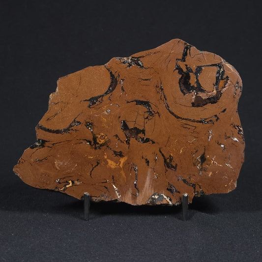 STROMATOLITE, Parda Formation, Early Cretaceous (Aptian), Australia 8VA032