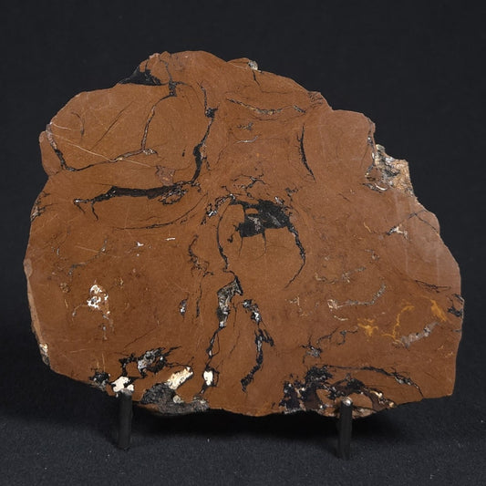 STROMATOLITE, Parda Formation, Early Cretaceous (Aptian), Australia 8VA033