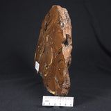 STROMATOLITE, Parda Formation, Early Cretaceous (Aptian), Australia 8VA035