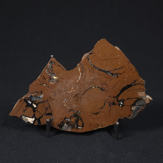 STROMATOLITE, Parda Formation, Early Cretaceous (Aptian), Australia 8VA036