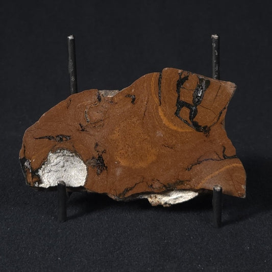 STROMATOLITE, Parda Formation, Early Cretaceous (Aptian), Australia 8VA037