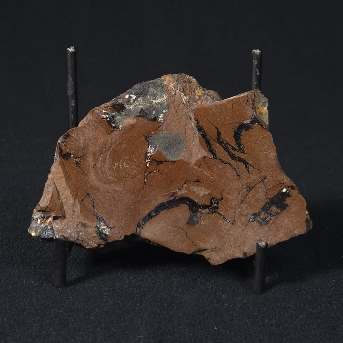 STROMATOLITE, Parda Formation, Early Cretaceous (Aptian), Australia 8VA038