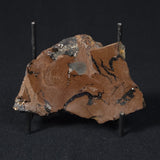 STROMATOLITE, Parda Formation, Early Cretaceous (Aptian), Australia 8VA038
