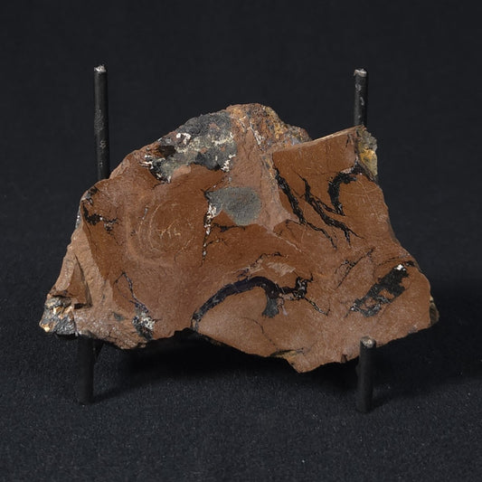 STROMATOLITE, Parda Formation, Early Cretaceous (Aptian), Australia 8VA038