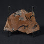 STROMATOLITE, Parda Formation, Early Cretaceous (Aptian), Australia 8VA038