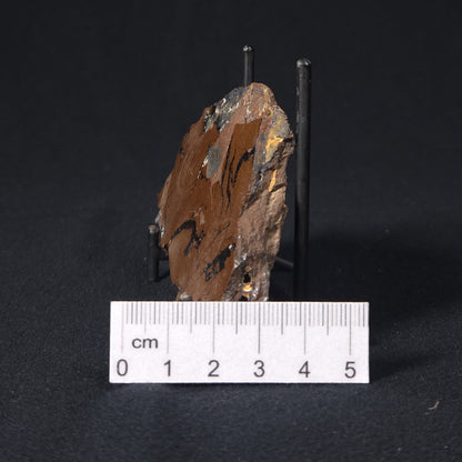 STROMATOLITE, Parda Formation, Early Cretaceous (Aptian), Australia 8VA038