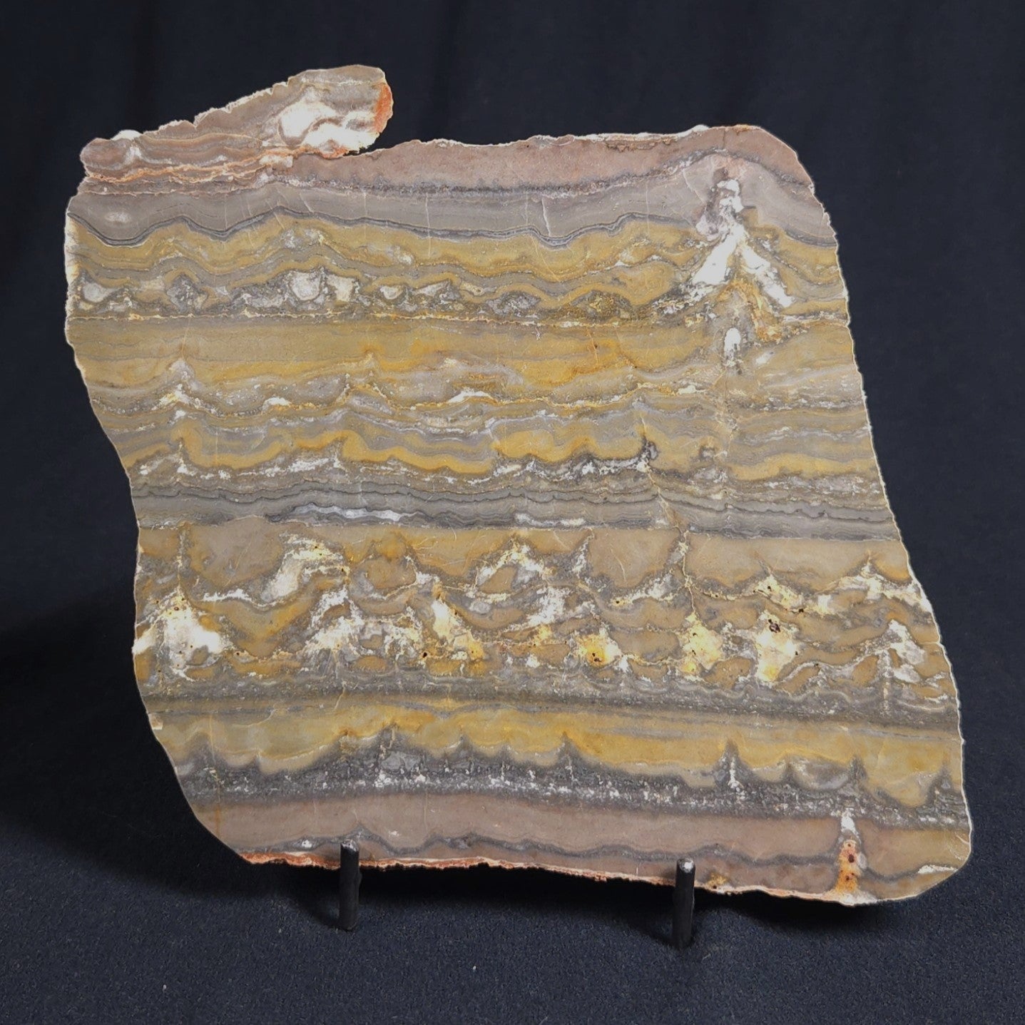 STROMATOLITE, Duck Creek, Lower Proterozoic, Australia 8VA001