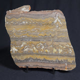 STROMATOLITE, Duck Creek, Lower Proterozoic, Australia 8VA001