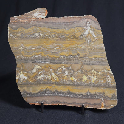 STROMATOLITE, Duck Creek, Lower Proterozoic, Australia 8VA001