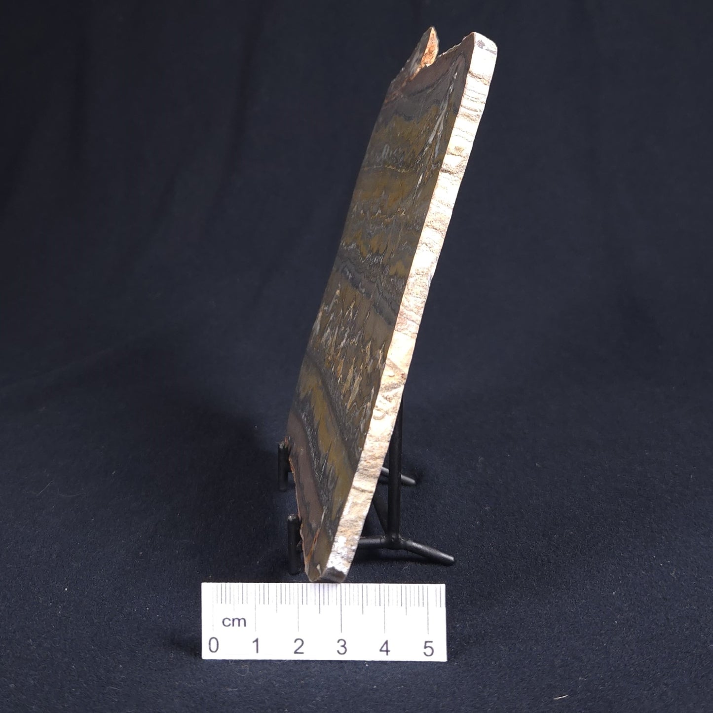 STROMATOLITE, Duck Creek, Lower Proterozoic, Australia 8VA001