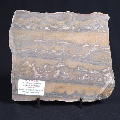 STROMATOLITE, Duck Creek, Lower Proterozoic, Australia 8VA002