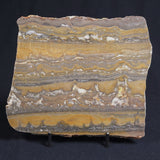 STROMATOLITE, Duck Creek, Lower Proterozoic, Australia 8VA002