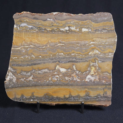 STROMATOLITE, Duck Creek, Lower Proterozoic, Australia 8VA002