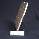 STROMATOLITE, Duck Creek, Lower Proterozoic, Australia 8VA002