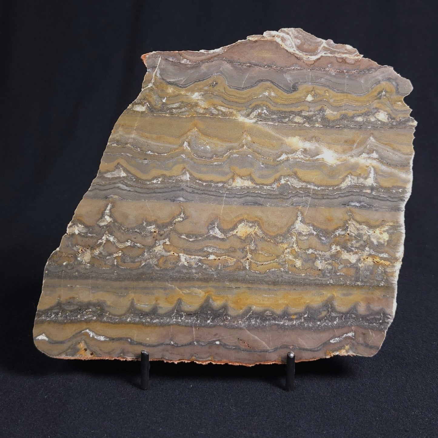 STROMATOLITE, Duck Creek, Lower Proterozoic, Australia 8VA003