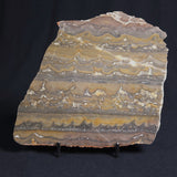 STROMATOLITE, Duck Creek, Lower Proterozoic, Australia 8VA003