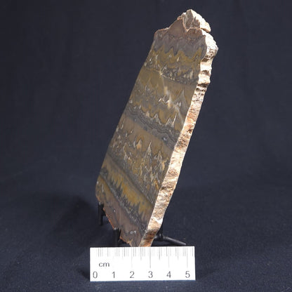 STROMATOLITE, Duck Creek, Lower Proterozoic, Australia 8VA003