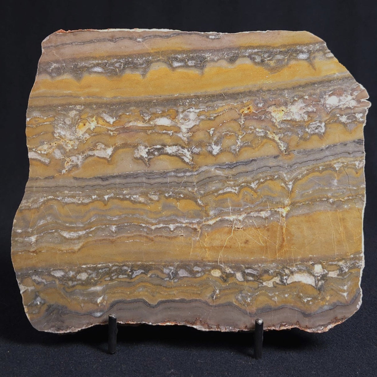 STROMATOLITE, Duck Creek, Lower Proterozoic, Australia 8VA004