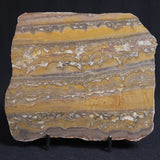 STROMATOLITE, Duck Creek, Lower Proterozoic, Australia 8VA004