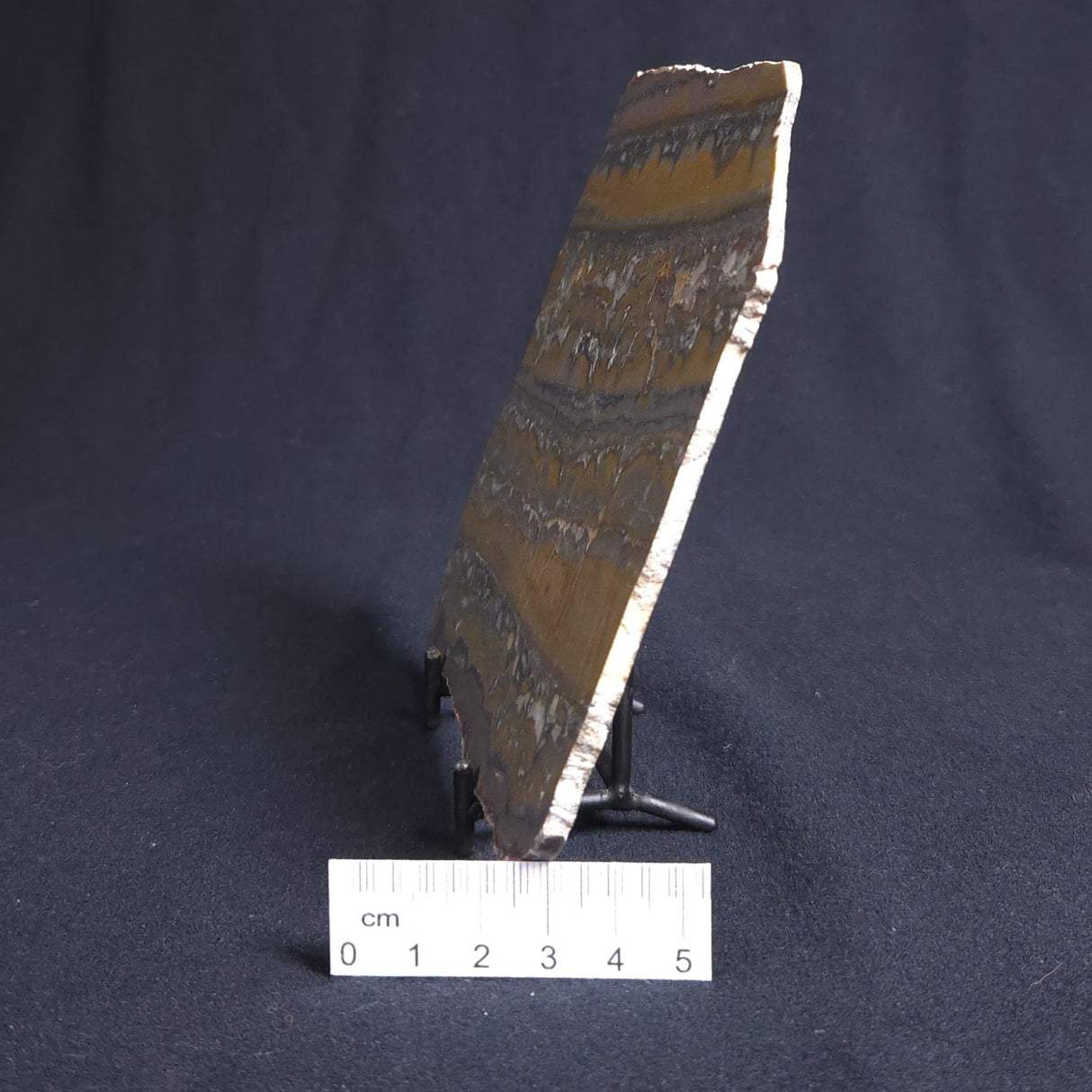 STROMATOLITE, Duck Creek, Lower Proterozoic, Australia 8VA004