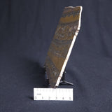 STROMATOLITE, Duck Creek, Lower Proterozoic, Australia 8VA004