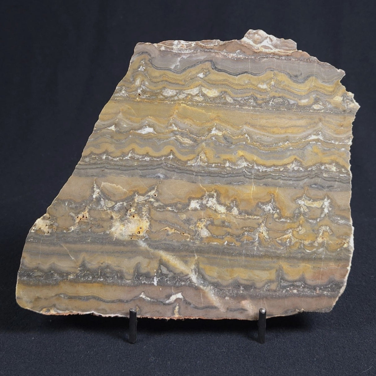 STROMATOLITE, Duck Creek, Lower Proterozoic, Australia 8VA005