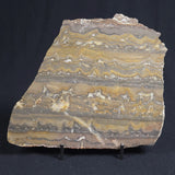 STROMATOLITE, Duck Creek, Lower Proterozoic, Australia 8VA005