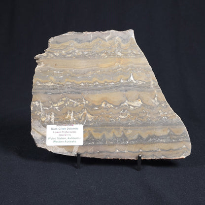 STROMATOLITE, Duck Creek, Lower Proterozoic, Australia 8VA006