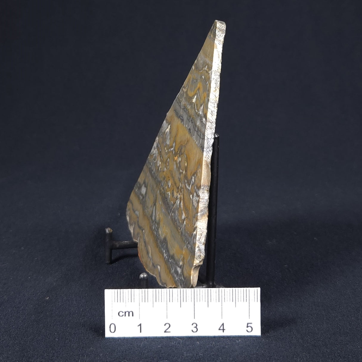 STROMATOLITE, Duck Creek, Lower Proterozoic, Australia 8VA007