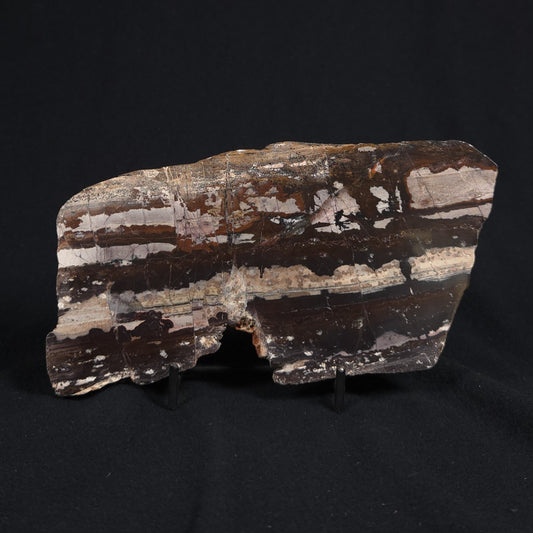 STROMATOLITE, Jerrinah Formation, Proterozoic, Australia 8VA009